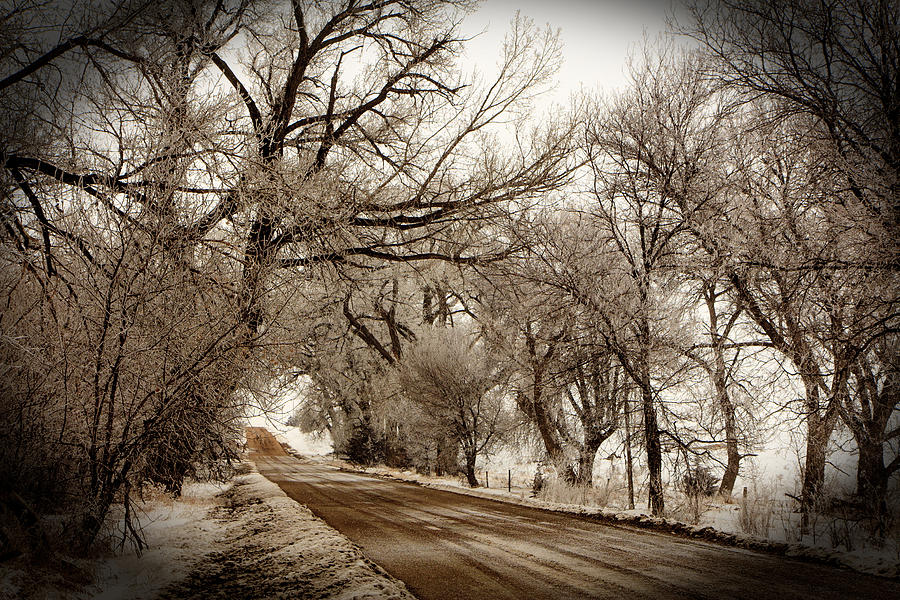 Winter Photograph - Snowy Trail by Shirley Heier
