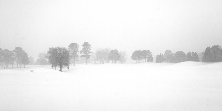 Golf Photograph - Snowy Treeline by Christopher McPhail