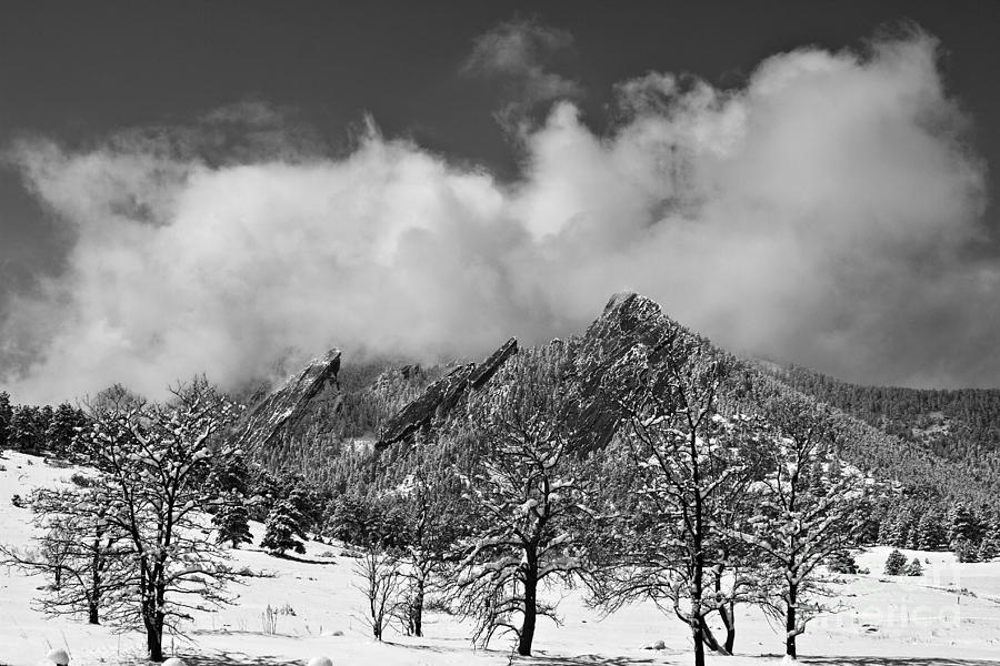 Snowy Trees And The Flatirons Boulder Colorado Black and White Photograph by James BO Insogna