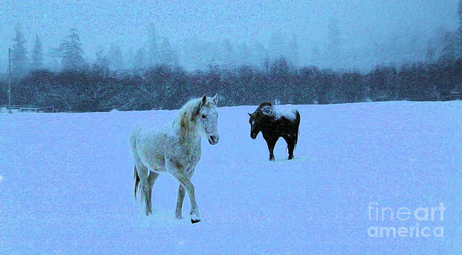 Snowy Walk Photograph by Roland Stanke