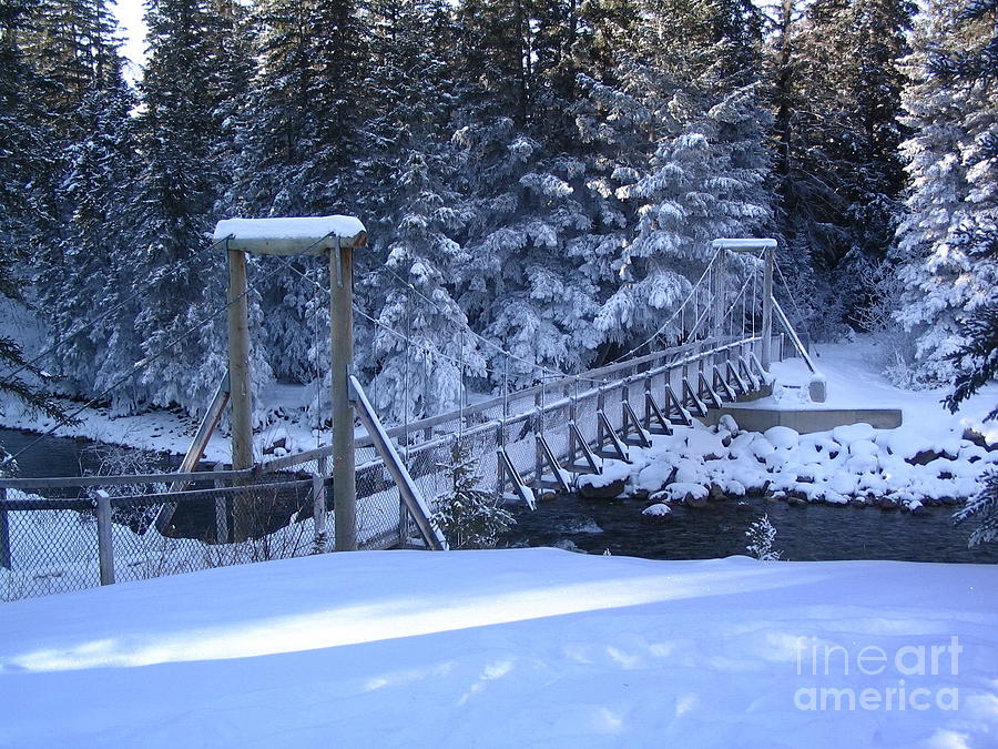 Snowy Walking Bridge Photograph by Vivian Martin