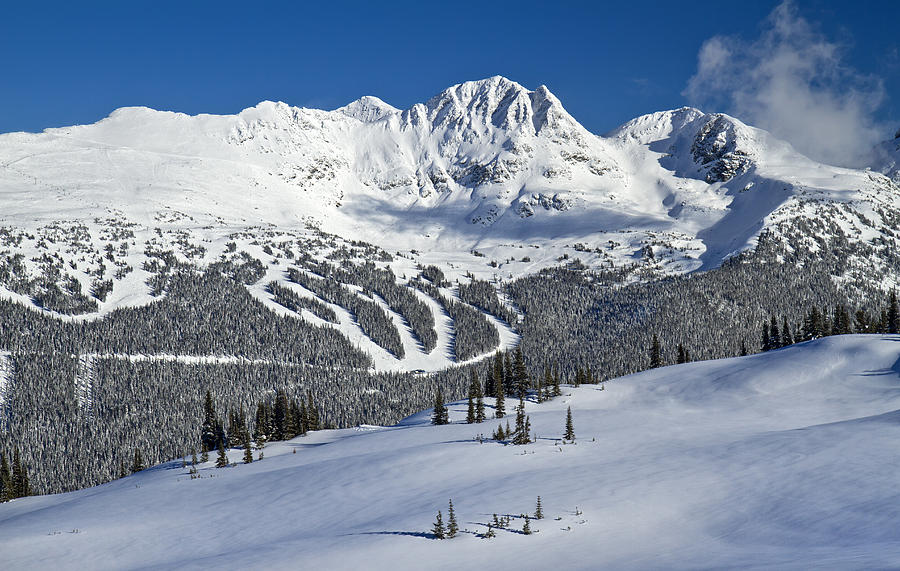 Snowy Whistler Blackcomb Photograph By Pierre Leclerc Photography