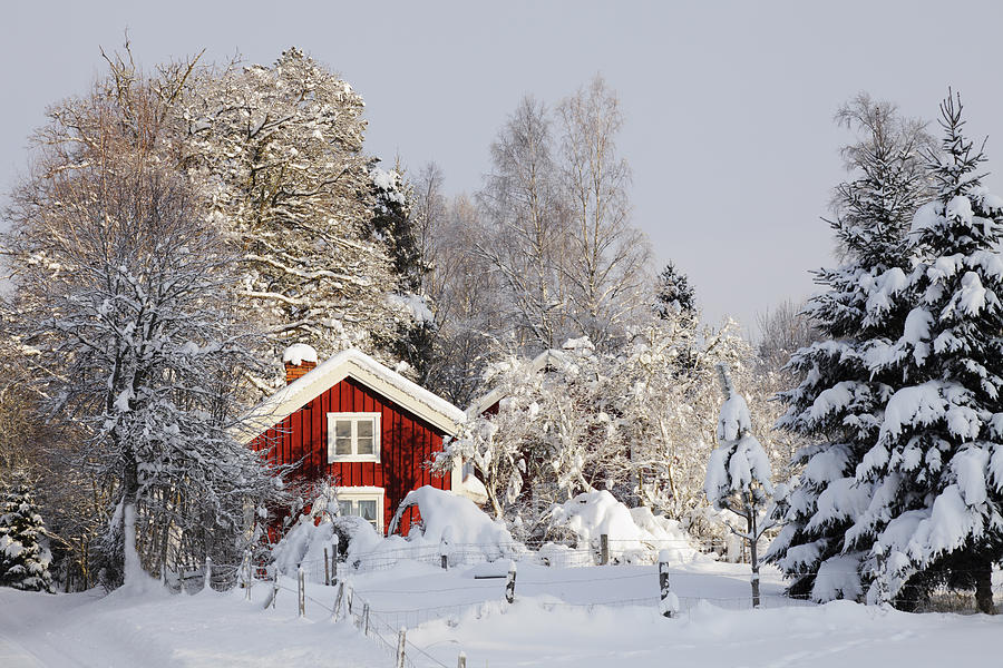 Snowy Winter Landscape Photograph by Christian Lagereek