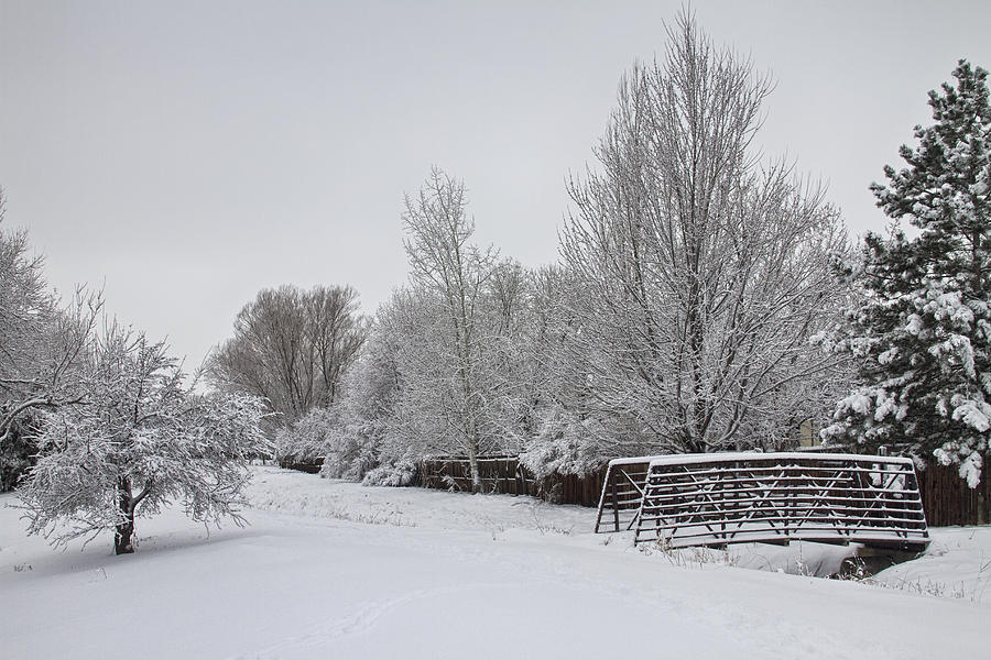Snowy Winter Landscape View Photograph