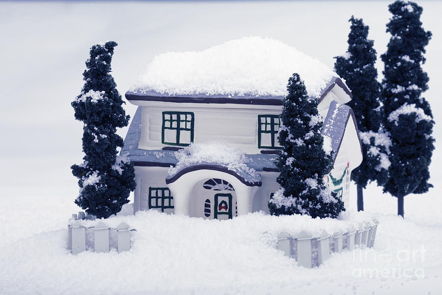 Snowy Winter Scene Photograph by Diane Macdonald
