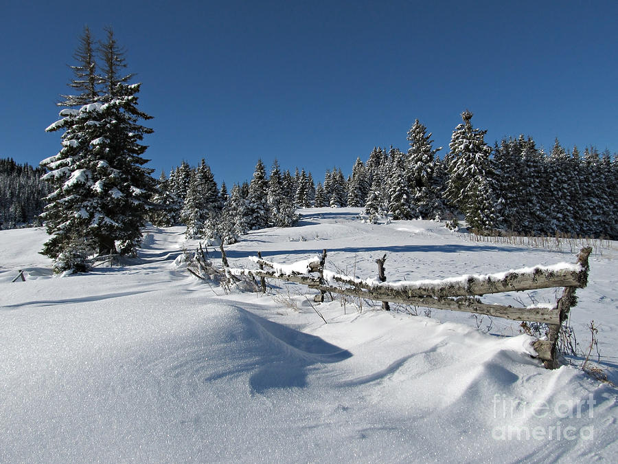 Winter Photograph - Snowy Winter Scene by Kiril Stanchev