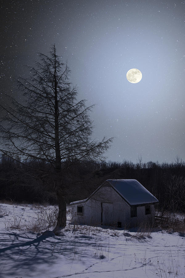 Snowy Winter Shed Photograph by Larry Landolfi