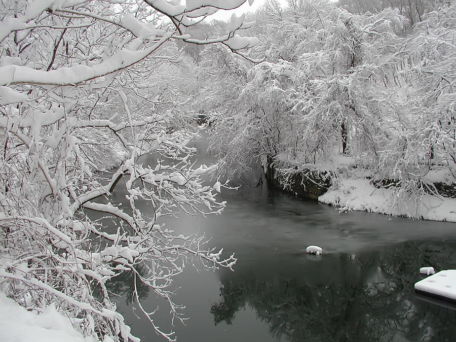 Philadelphia Photograph - Snowy Wissahickon Creek by Bill Cannon