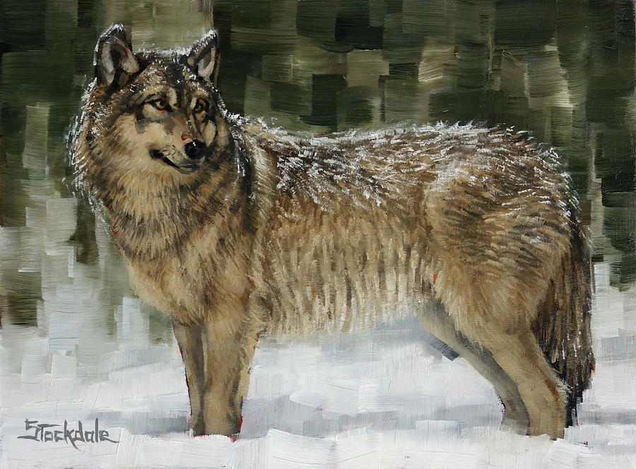 Snowy Wolf Painting by Margaret Stockdale