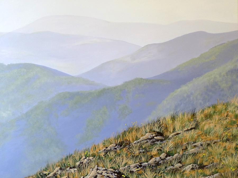 Mountain Painting - Snowys in summer by Anne Gardner