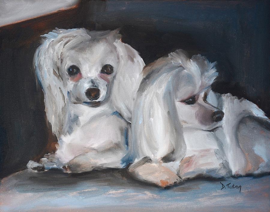 Snuggles and Sarge the Maltese Painting by Donna Tuten