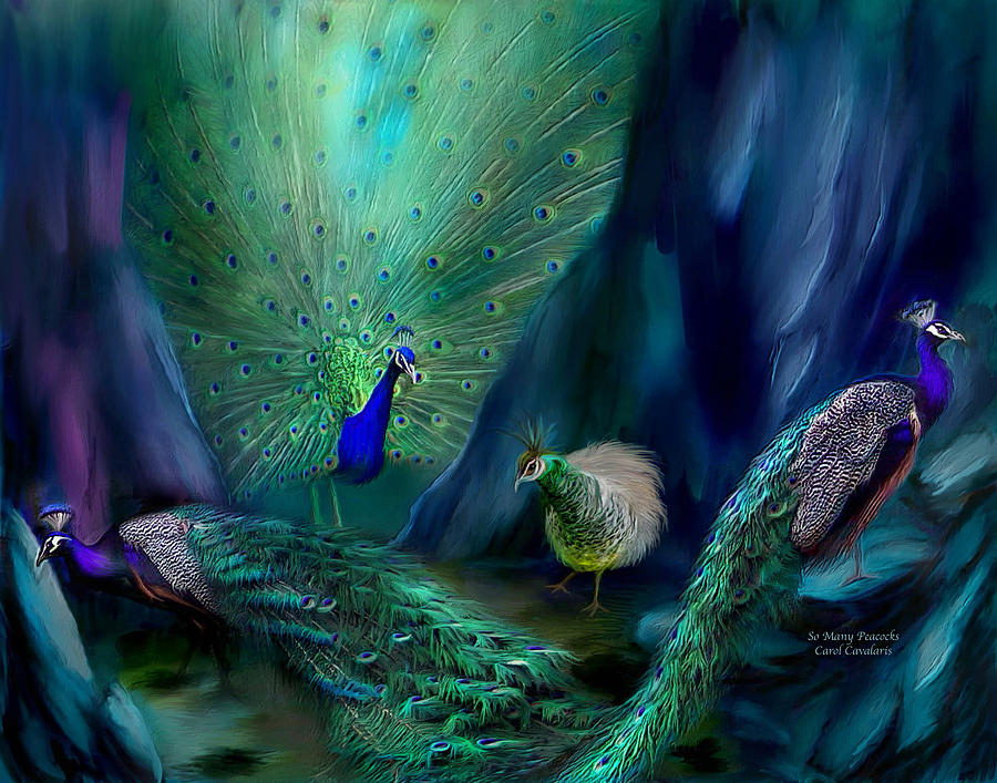 So Many Peacocks Mixed Media by Carol Cavalaris