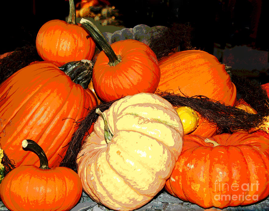So Many Pumpkins Photograph by Larry Oskin