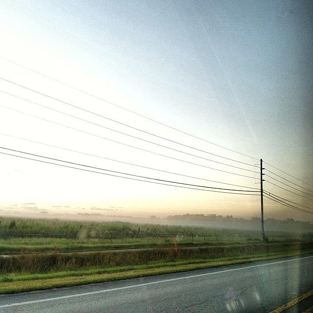 Scary Photograph - So Much Mist. #scary #themist by Em Mmy Ann
