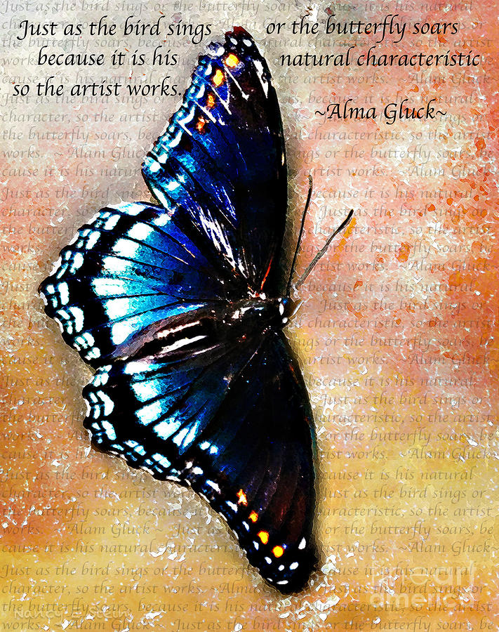 Butterfly Photograph - So The Artist Works by Nancy Stein