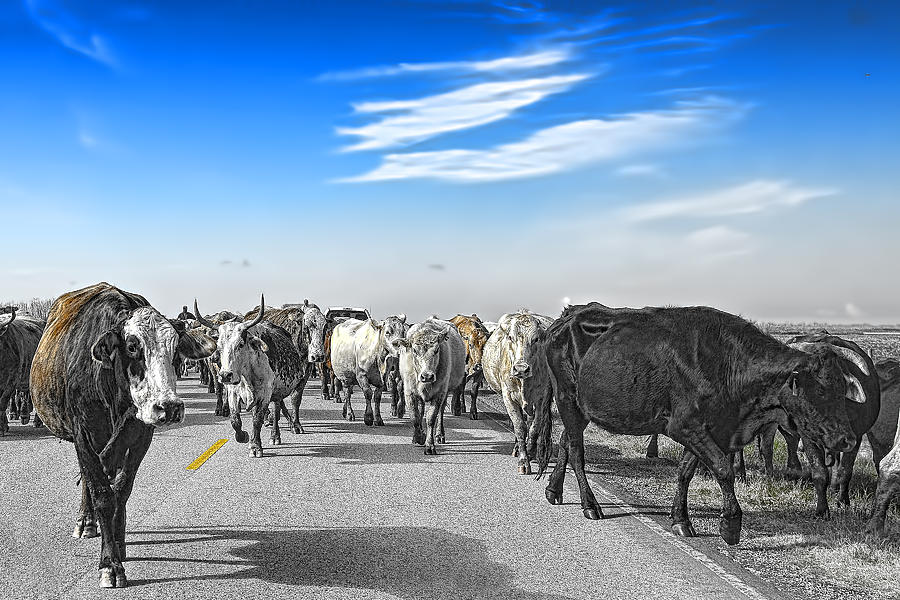 So this is what Farm to Market Road means - Desaturated Photograph by Gary Holmes