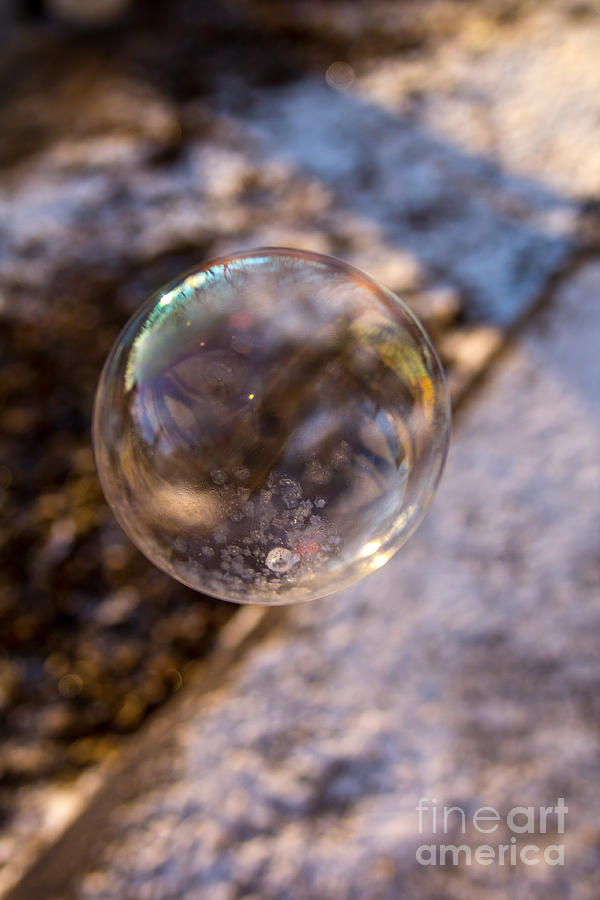 Soap Bubble  Photograph by Jim McCain