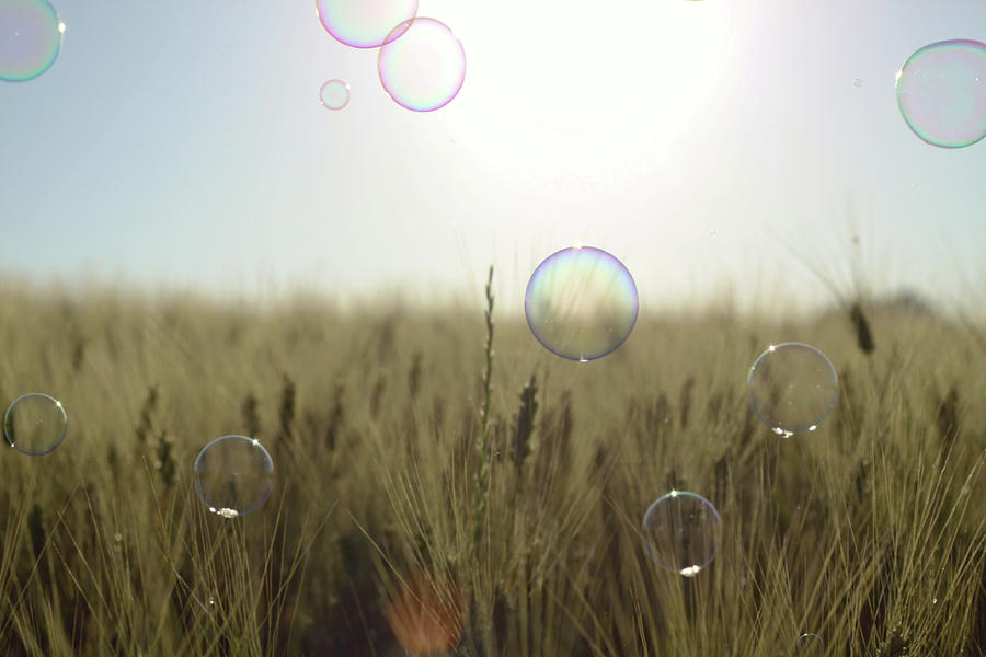 Soap Bubbles Floating Above Wheat Photograph by Ilarialuciani