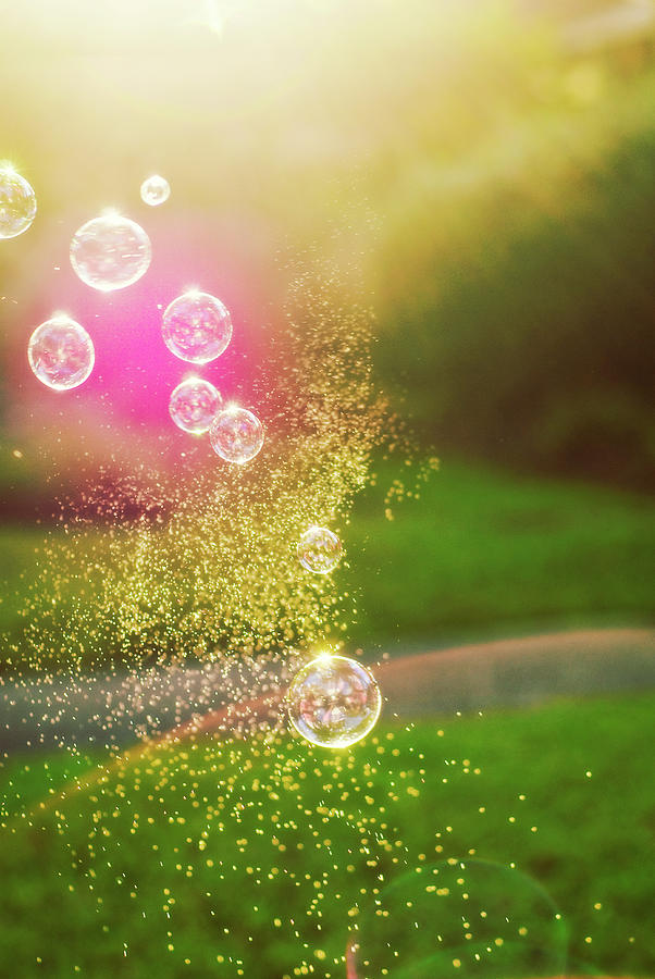 Soap Bubbles Photograph by Libertad Leal Photography
