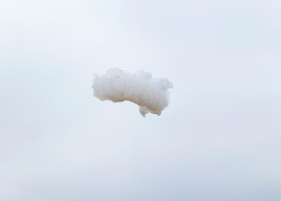 Soap Foam Floating Through The Air Photograph by Pete Starman