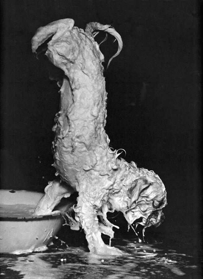 Soapy Dog Escapes From Bath Photograph by Underwood Archives