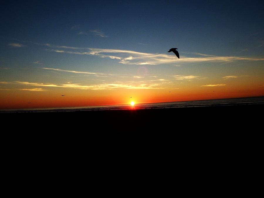 Sunset Photograph - Soar by Cathleen Cario-Reece