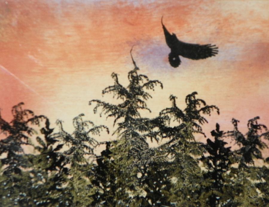 Sunset Mixed Media - Soaring Eagle in the Adirondack Mountains by Melissa Aiken