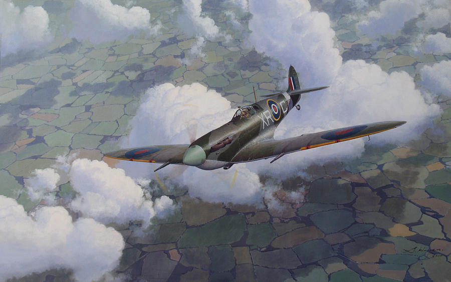 Airplane Painting - Soaring Eagle by Steven Heyen