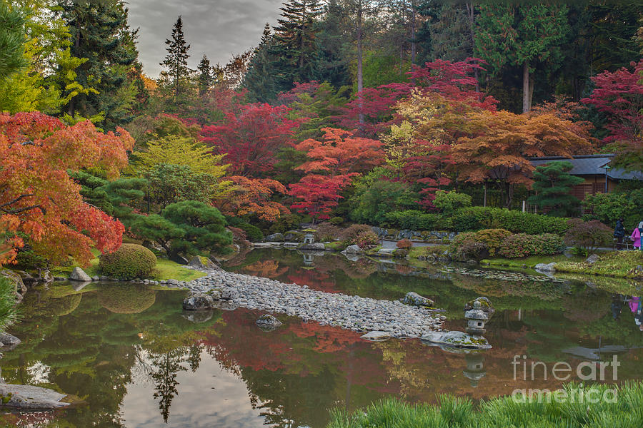 Japanese Garden Photograph - Soaring Fall Colors in the Arboretum by Mike Reid