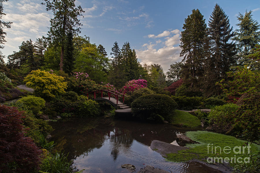Kubota Garden Photograph - Soaring Garden Vistas by Mike Reid