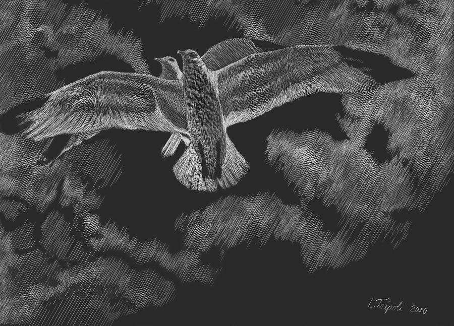 Soaring Drawing by Lawrence Tripoli