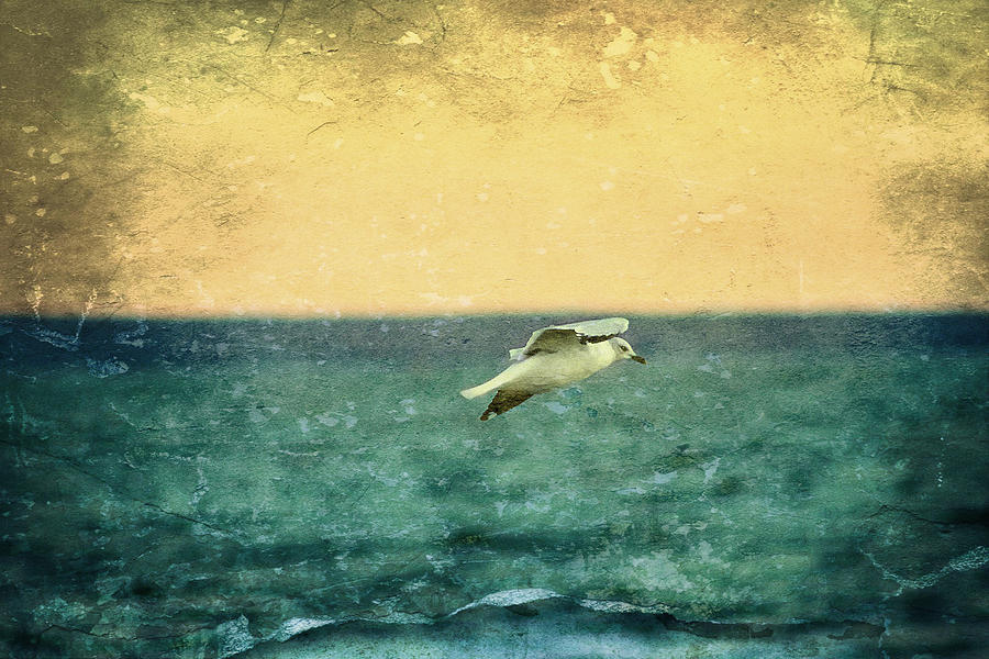 Soaring Seagull Digital Art by Heidi Farmer