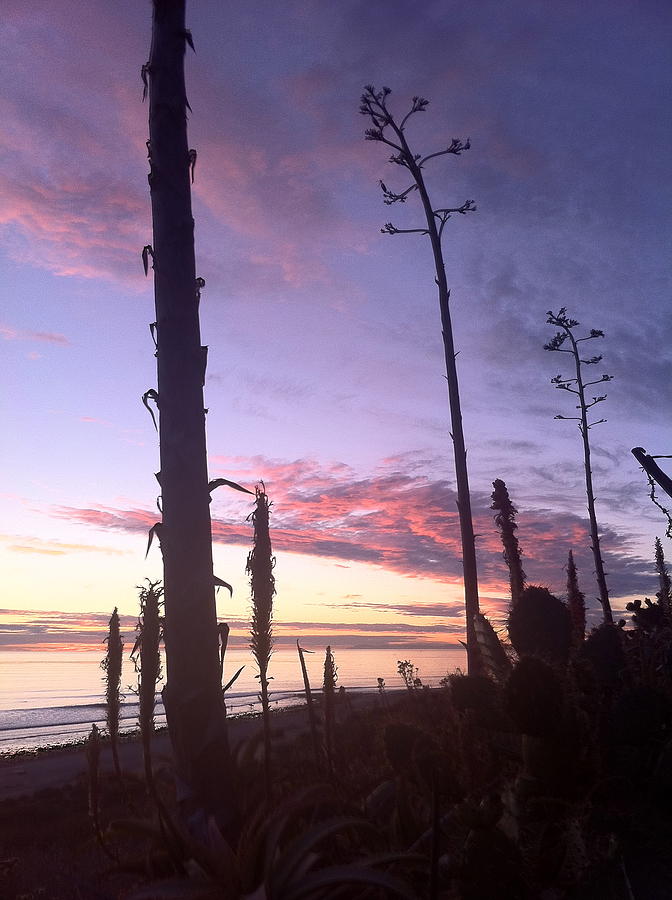 SoCal Sunset Photograph by Paul Carter