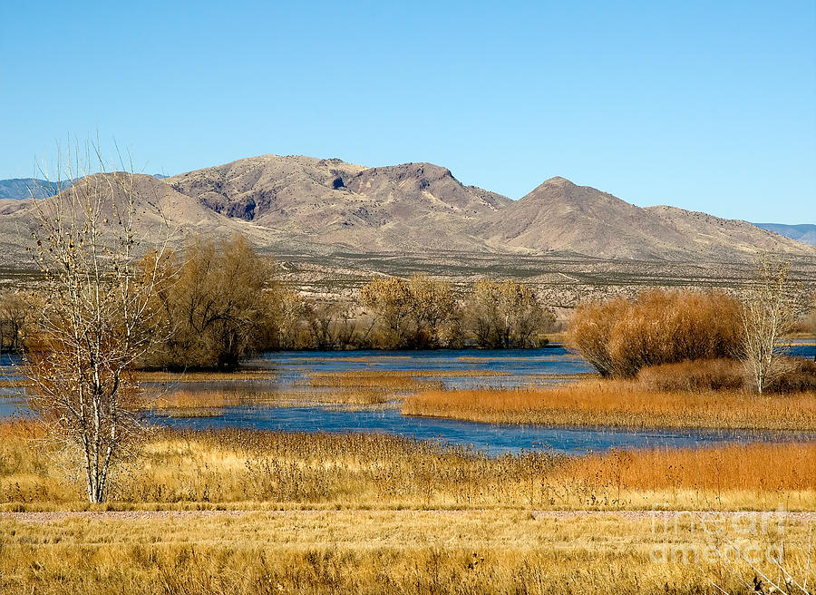 Socorro New Mexico Photograph - Socorro by Mae Wertz