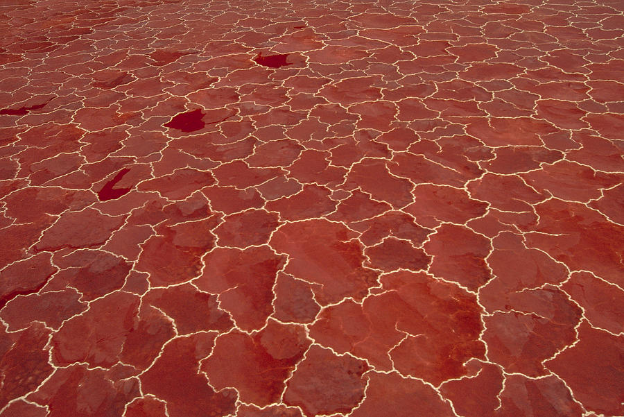 Soda And Algae Formation Lake Natron Photograph by Gerry Ellis