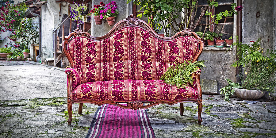 Sofa with fern Photograph by Roberto Pagani