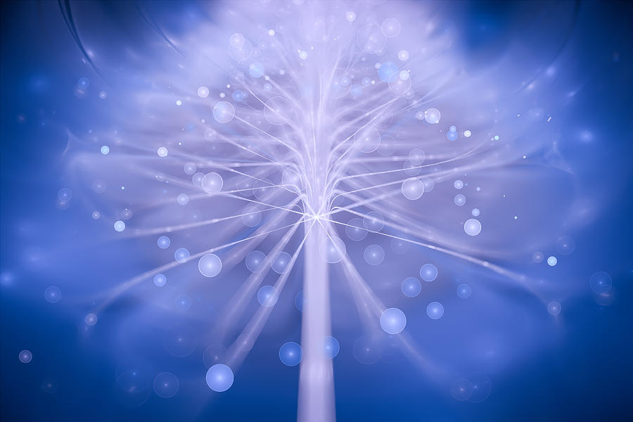 Soft abstract floral art light blue and white Digital Art by Matthias Hauser