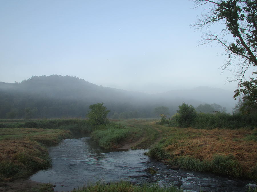 Trout Stream Photograph - Soft And Dreamy Morning by Denise Hoff Trout Stream Photograph - Soft And Dreamy Morning by Denise Hoff