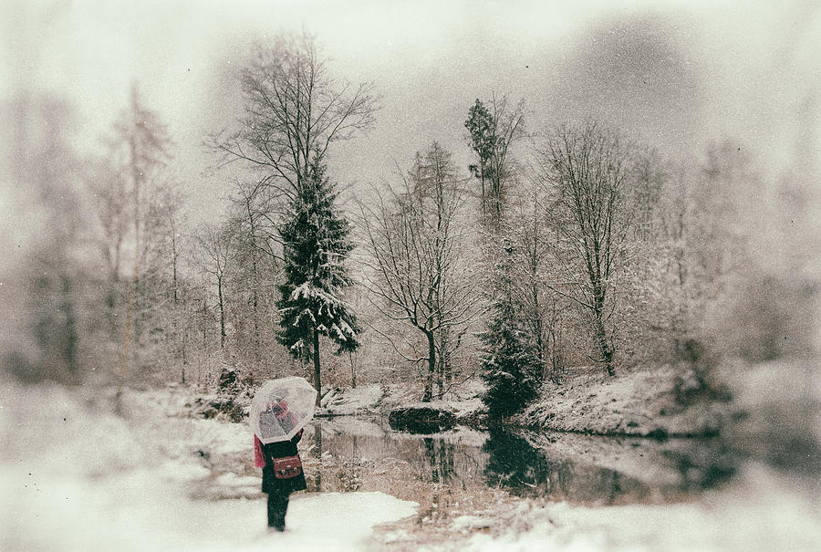 Soft and dreamy winter landscape wetplate effect Photograph by Matthias Hauser
