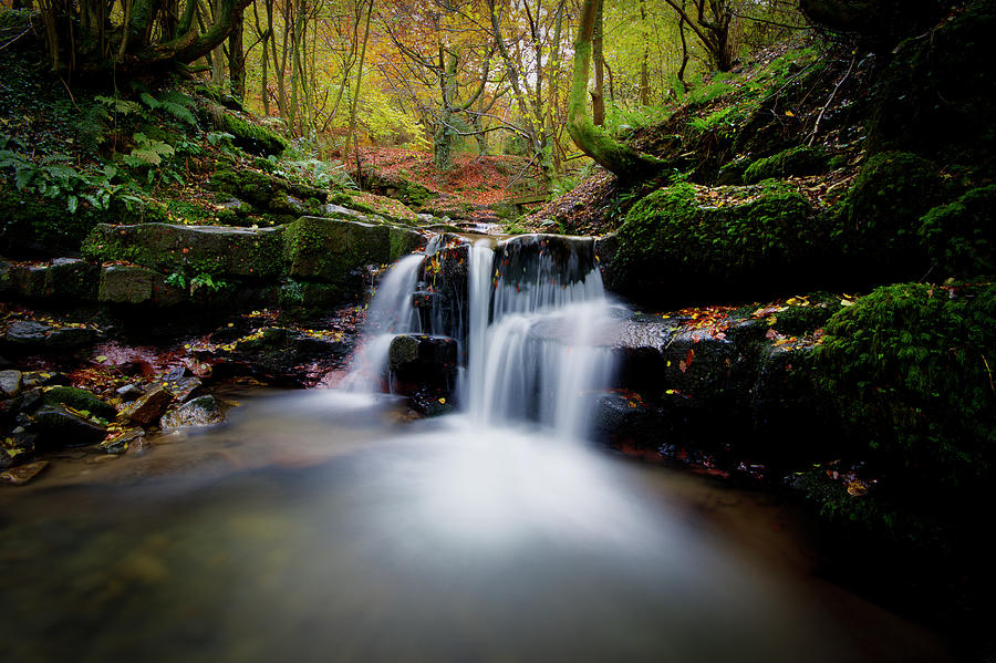 Soft Autumn Cascade Photograph by Clive Rees Photography