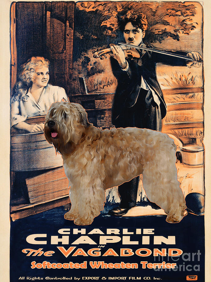 Soft-coated Wheaten Terrier  - Wheaten Terrier Art Canvas Print - The Vagabond Movie Poster Painting by Sandra Sij