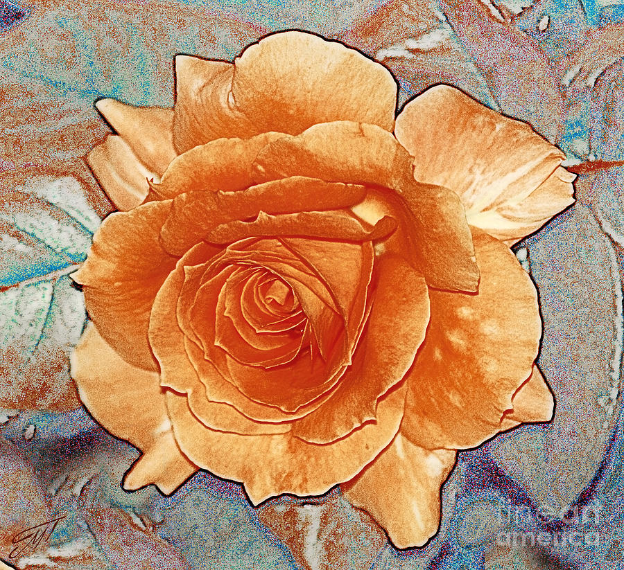 Rose Photograph - Soft Colour Rose by Art by Magdalene