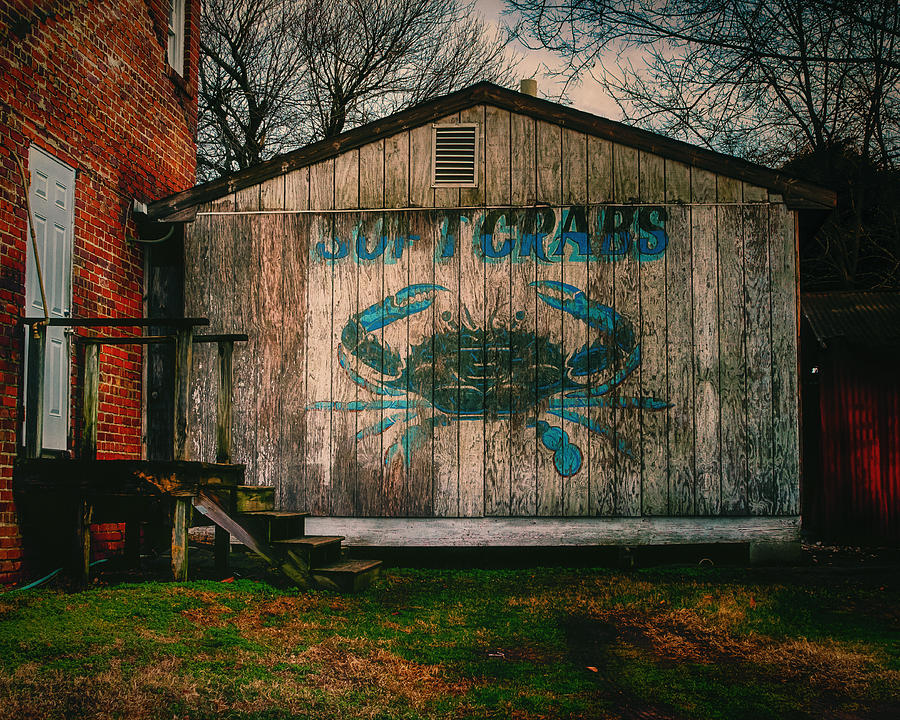 Soft Crabs Photograph by Steve Stephenson