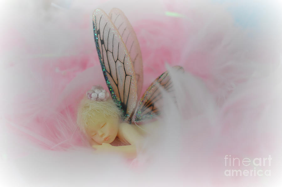 Soft Fairy in Pink Photograph by Lila Fisher-Wenzel