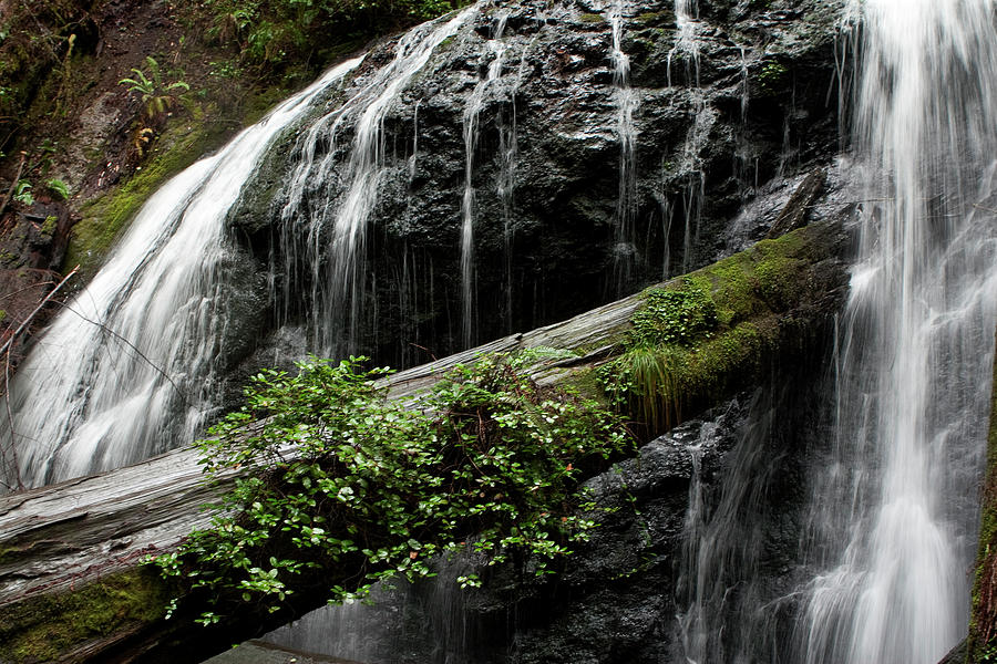 Nature Photograph - Soft Falls of Mendocino by Lorraine Devon Wilke