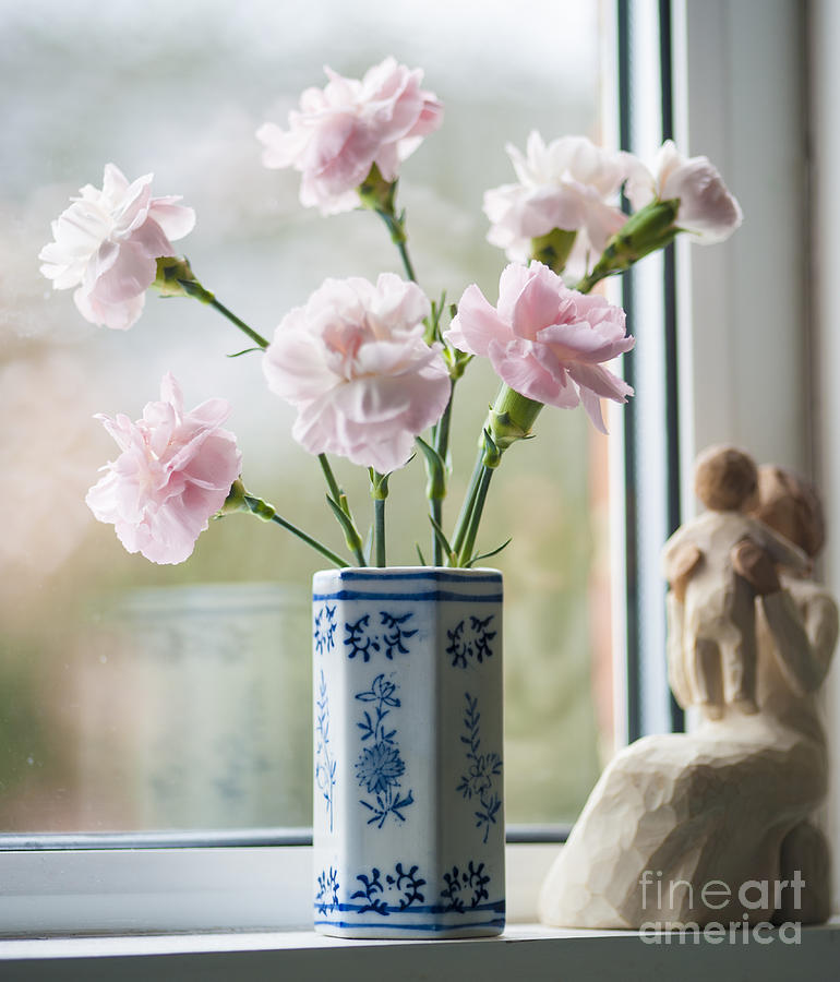 Flower Photograph - Soft Focus Pink n Blue by Donald Davis