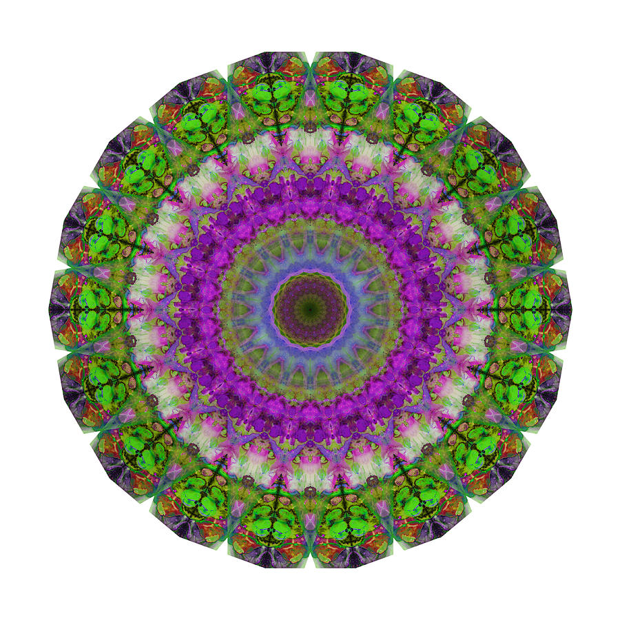Iris Painting - Soft Light - Kaleidoscope Mandala By Sharon Cummings by Sharon Cummings