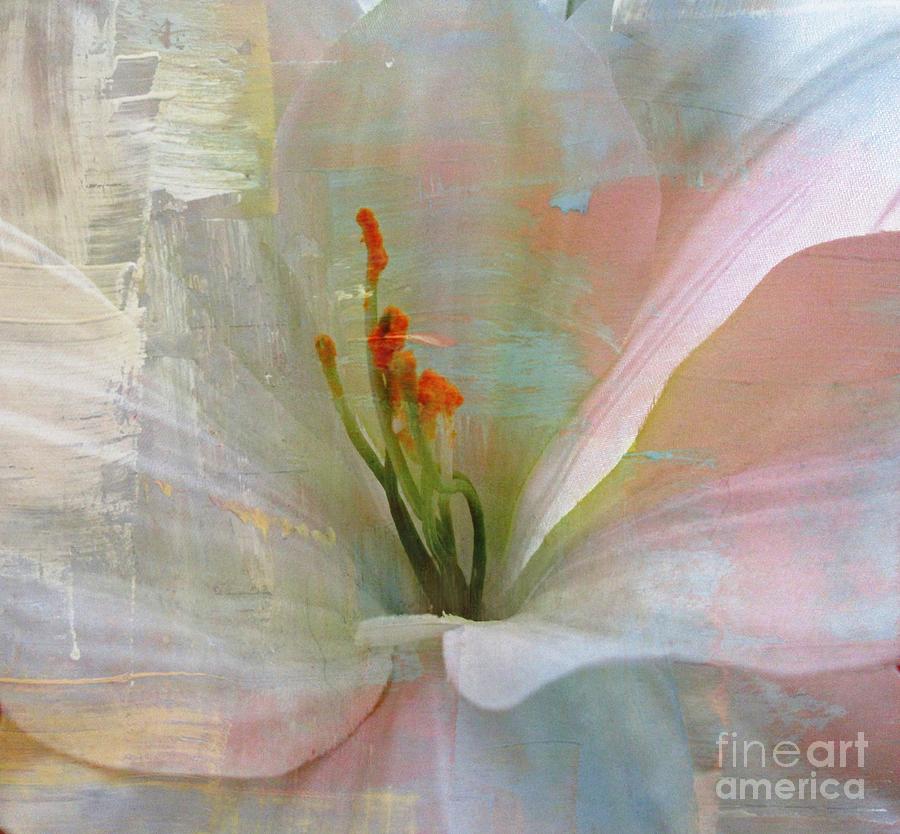 Soft Painted Lily Photograph by Judy Palkimas