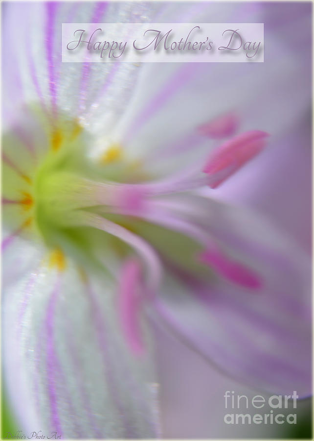 Soft Pink Floral Mothers Day I Photograph by Debbie Portwood