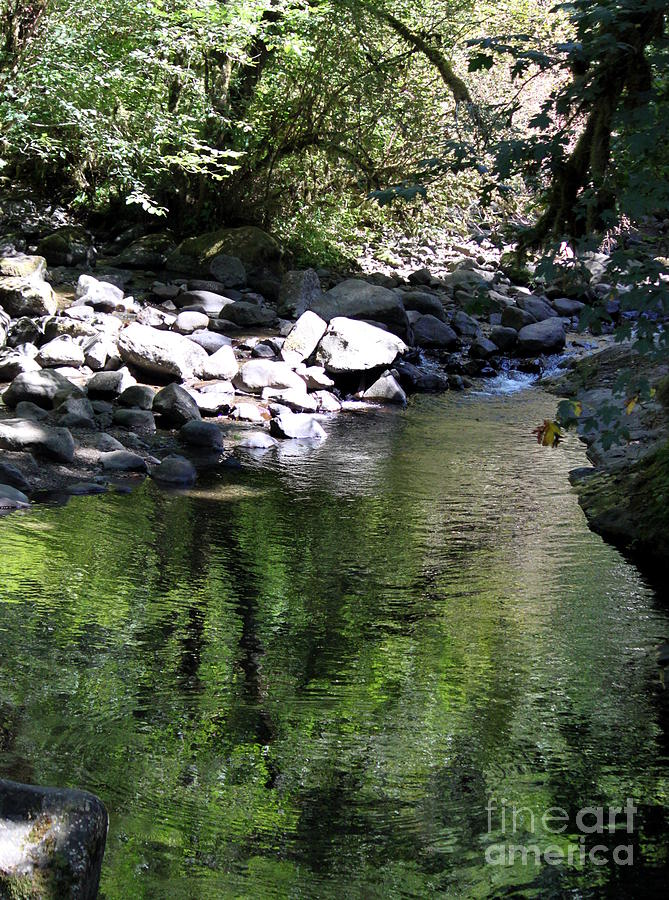 Soft Ripples Photograph By Erica Hanel   Pixels